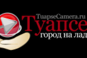 Работа 3102979