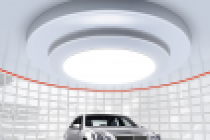 Работа 3104136