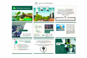 Презентация по экологии