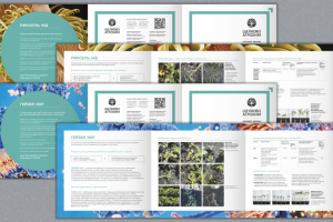 Буклеты по шаблону заказчика