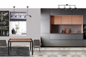 проект кухни-гостиной