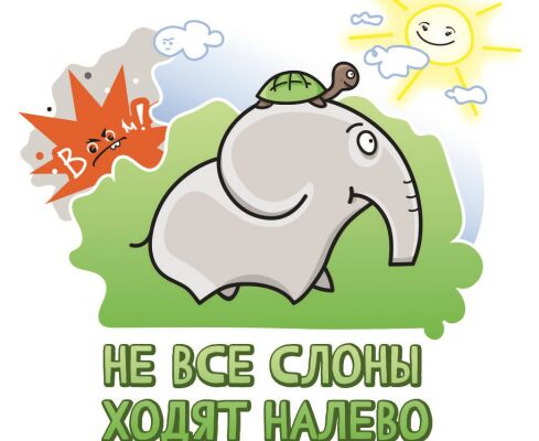 img4385419.png