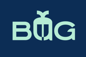 Сервис по ремонту техники "Bug"