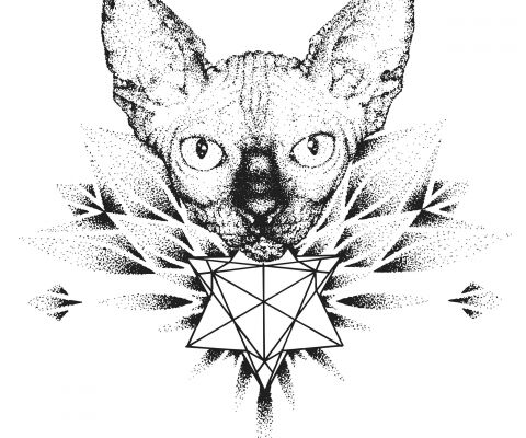 img3135353.png