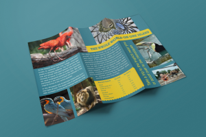 Евробуклет