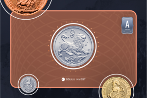 Сайт «Soulu Invest»