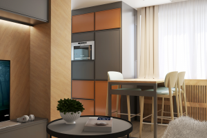 Кухня - гостиная