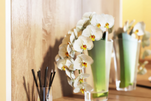 Работа 3865099