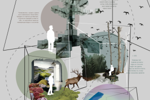 Концепт выставки "Путешествие по климатическим поясам"