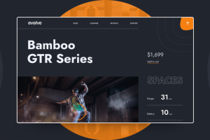 Evolve — интернет-магазин электробордов