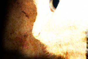 Глаза кошки (учеба)