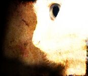img1101074.png