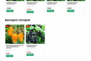 магазин саженцев