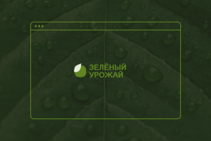 Дизайн-концепт сайта компании по производству овощей