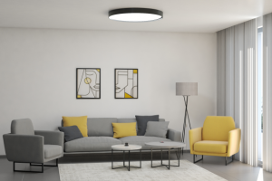 Визуализация гостиной