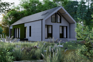 Визуализация Каркасного дома