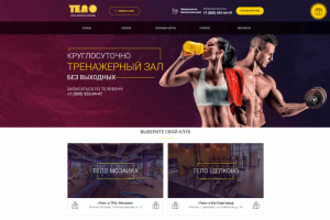 Сеть фитнес клубов ТЕЛО