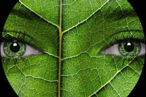 Лифлет для экопроекта