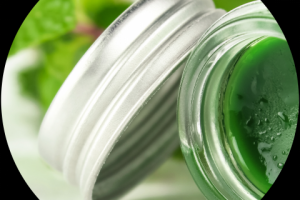 Брошюра_презентация сети экобаров