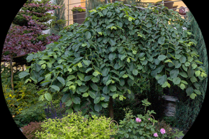 Лифлет для компании Climate Garden