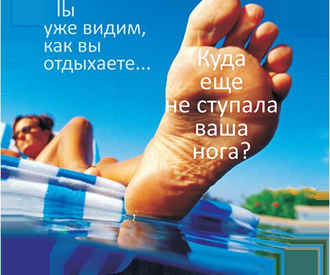 img3358369.png