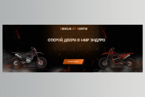 Баннер для сайта продажи мототехники