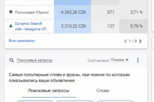 Дипломные работы в Чехии. Google Ads