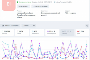 Интернет-магазин Электрики. Яндекс Директ