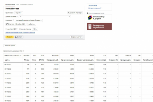 Клиника эстетической медицины. Яндекс Директ