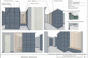 Проект мебелировки прихожей