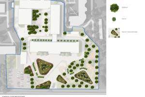 Генплан с подбором озеленения