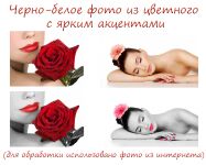 img2867880.png