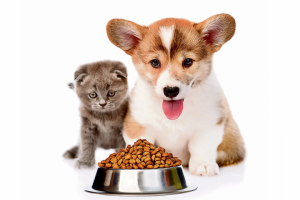 Продающий текст для товаров на маркетплейсе