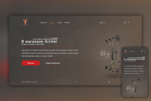 Магазин "Arhcer" новая коллекция Охотничьих блочных луков