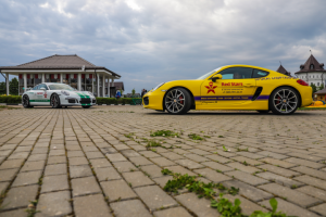 Работа 3742743