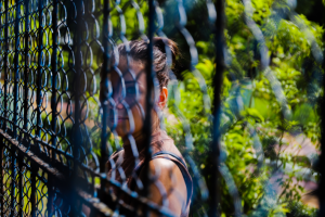 Работа 3743020