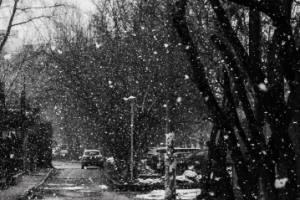 Работа 3742698