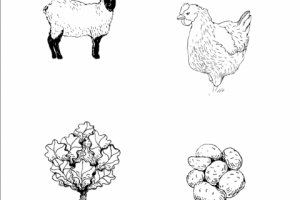 Работа 4327492