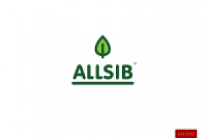 Логотип ALLSIB