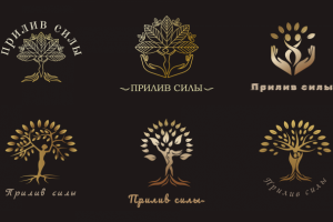 Варианты логотипа для трансформационного пространства