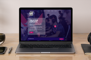 VALKYRIE ESPORTS