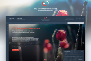 Редизайн Atomexpert24.