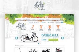 Интернет - магазин электротранспорта.