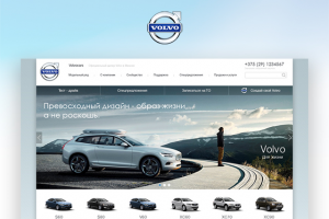 Официальный дилер Volvo.