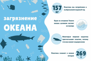 Инфографика