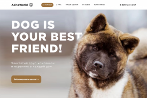 Сайт AkitaWorld