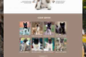 Сайт AkitaWorld (целиком)