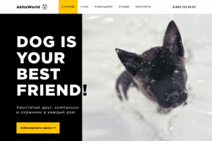 Главная страница сайта (вариант 1)