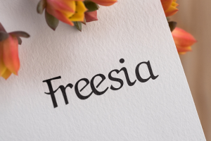 freesia
