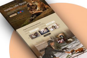 Для приюта "Друг"